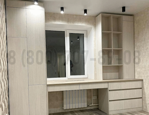 Рабочая зона модель r243 купить в Дедовске